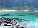 Lofoten Green